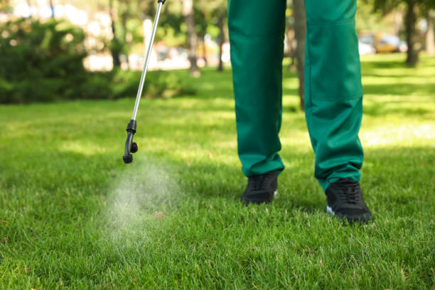 Best Pest Control Near Me  in Pleasant Grove, OH