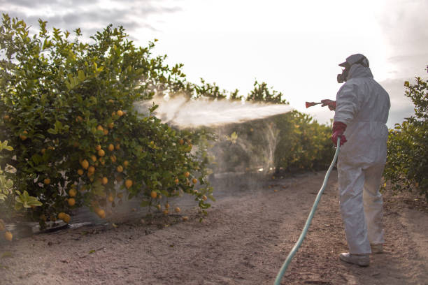 Best Pest Removal Services  in Pleasant Grove, OH